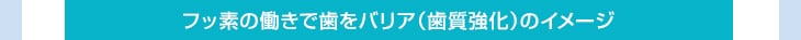 フッ素の働きで歯をバリア(歯質強化)のイメージ