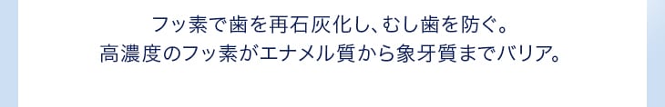 フッ素で歯を再石灰化し、むし歯を防ぐ。高濃度のフッ素がエナメル質から象牙質までバリア。
