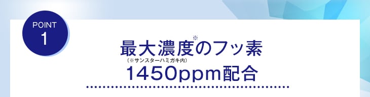 POINT1 最大濃度※(※サンスターハミガキ内)のフッ素 1450ppm配合