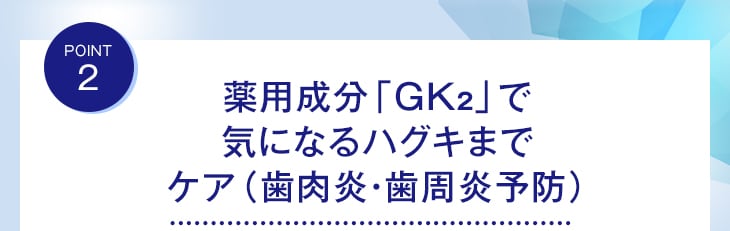 POINT2 薬用成分「GK2」で気になるハグキまでケア(歯肉炎・歯周炎予防)