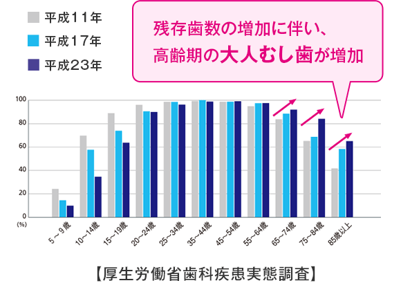 残存歯数の増加に伴い、高齢期の大人むし歯が増加 【厚生労働省歯科疾患実態調査】