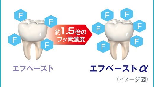 約1.5倍のフッ素濃度<イメージ図>