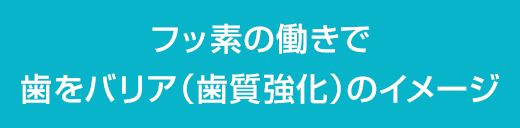 フッ素の働きで歯をバリア(歯質強化)のイメージ