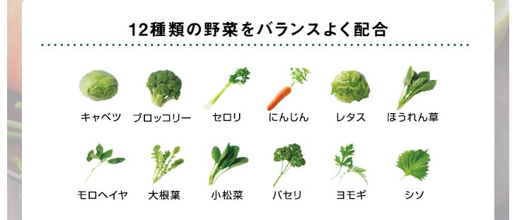 12種類の野菜をバランスよく配合 キャベツ ブロッコリー セロリ にんじん レタス ほうれん草 モロヘイヤ 大根葉 小松菜 パセリ ヨモギ シソ