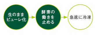 生のままピューレ化 酵素の働きを止める 急速に冷凍