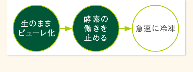 生のままピューレ化 酵素の働きを止める 急速に冷凍