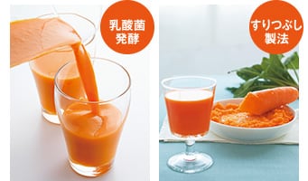 〈乳酸菌発酵〉と〈すりつぶし製法〉