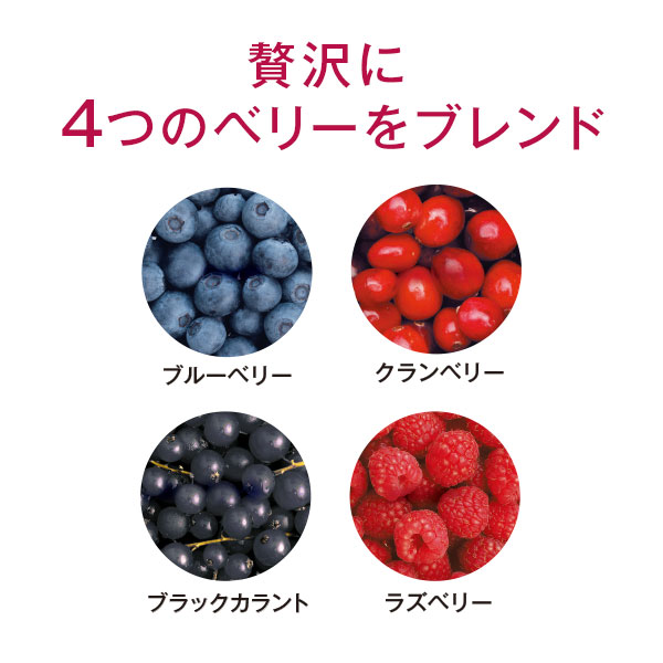 健康道場4つのベリーの恵み
