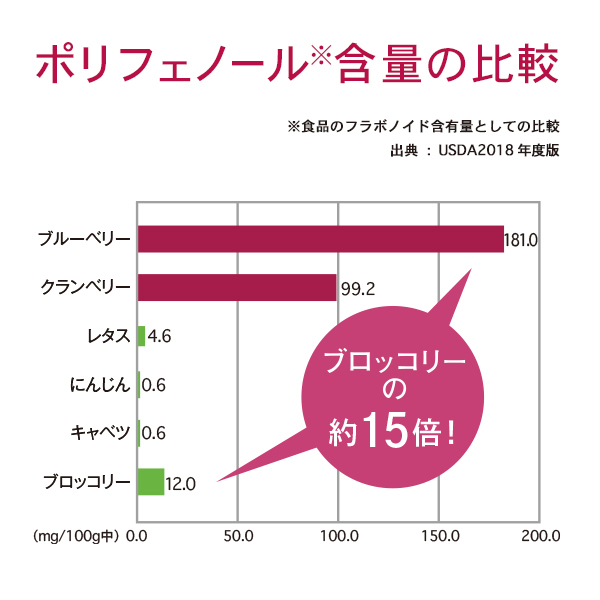 健康道場4つのベリーの恵み
