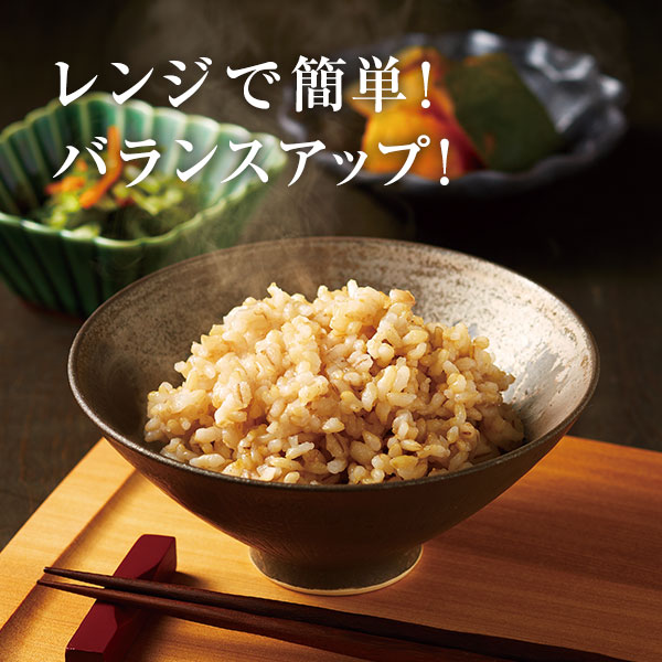 健康道場 玄米ごはん 15食