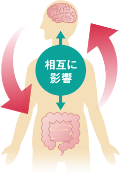 腸と脳の相互影響イメージ図