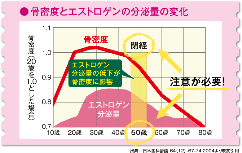 骨密度とエストロゲンの分泌量の変化