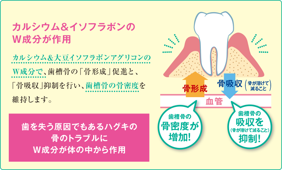 カルシウム＆イソフラボンのW成分が作用