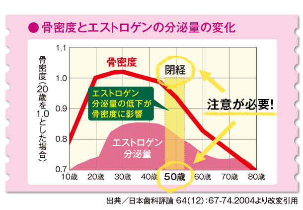 骨密度とエストロゲンの分泌量の変化