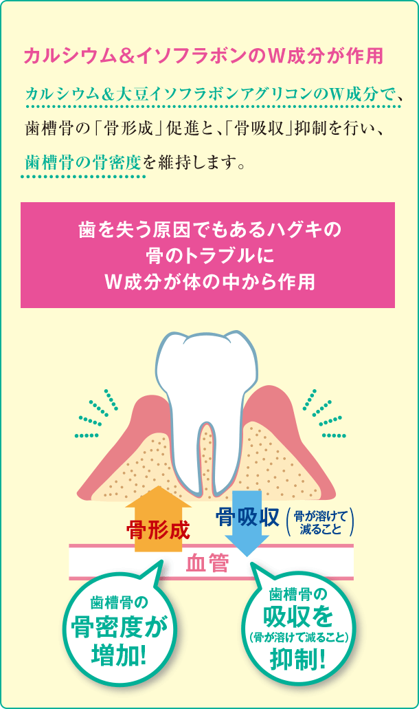 カルシウム＆イソフラボンのW成分が作用