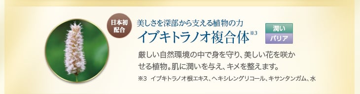 美しさを深部から支える植物の力 イブキトラノオ複合体(イブキトラノオ根エキス、ヘキシレングリコール、キサンタンガム、水) 厳しい自然環境の中で身を守り、美しい花を咲かせる植物。肌にうるおいを与え、キメを整えます。