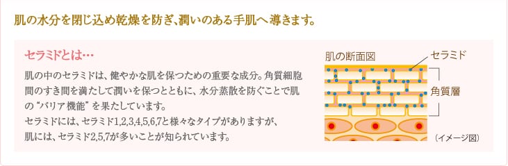 肌の水分を閉じ込め乾燥を防ぎ、潤いのある手肌へ導きます。