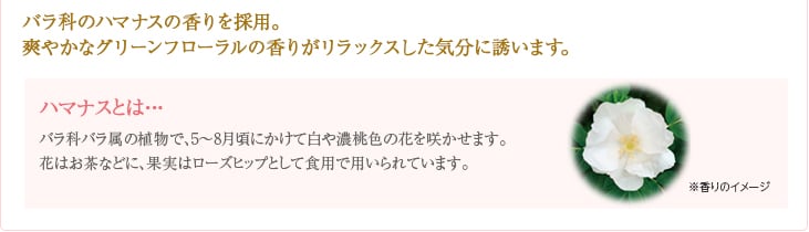 バラ科のハマナスの香りを採用。爽やかなグリーンフローラルの香りがリラックスした気分に誘います。