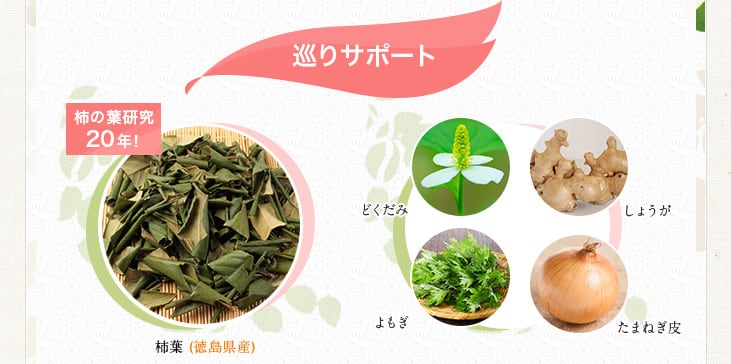 巡りサポート 柿の葉研究20年! 柿葉(徳島県産) どくだみ しょうが よもぎ たまねぎ皮