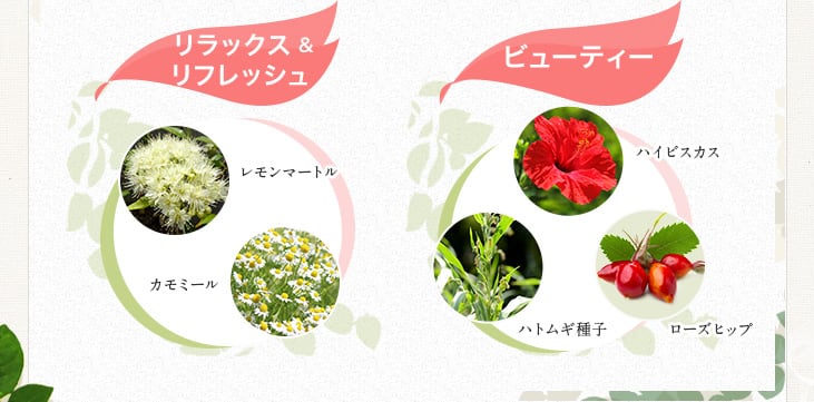 リラックス & リフレッシュ ビューティー レモンマートル カモミール ハイビスカス ハトムギ ローズヒップ