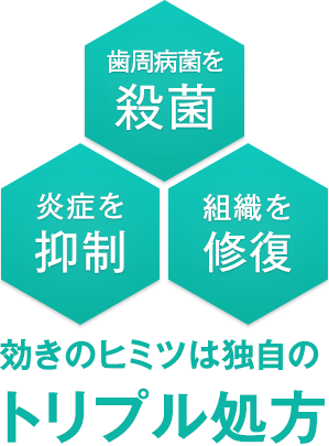 G U M ガム メディカルペーストex 65g サンスター公式通販 G U M ガム メディカルペーストex 65g サンスター公式通販