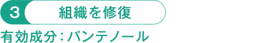 G U M ガム メディカルペーストex 65g サンスター公式通販