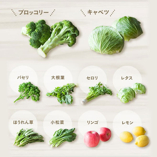 緑でサラナギフトセット