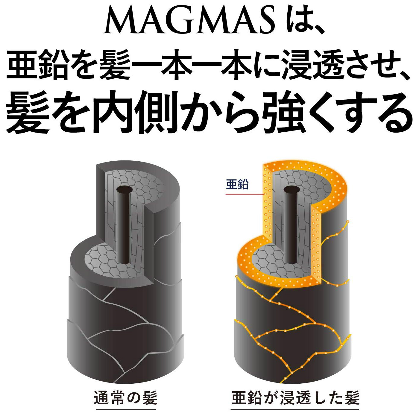 サンスター公式通販】MAGMAS(マグマス) 亜鉛導入シャンプー400ml