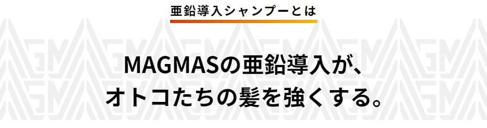 亜鉛導入シャンプーとは