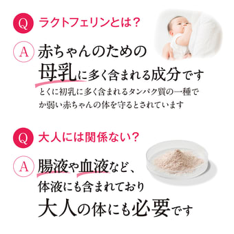 健康道場 ラクトフェリンS 約30日分