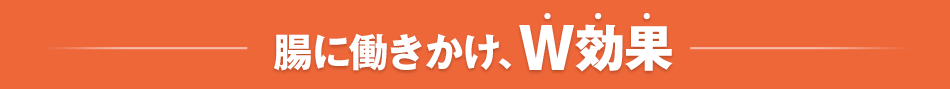 腸に働きかけ、W効果