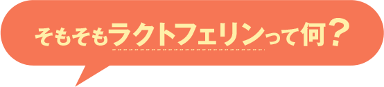 そもそもラクトフェリンって何？