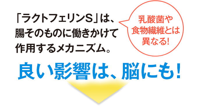 ラクトフェリンSは、腸そのものに働きかけて作用するメカニズム