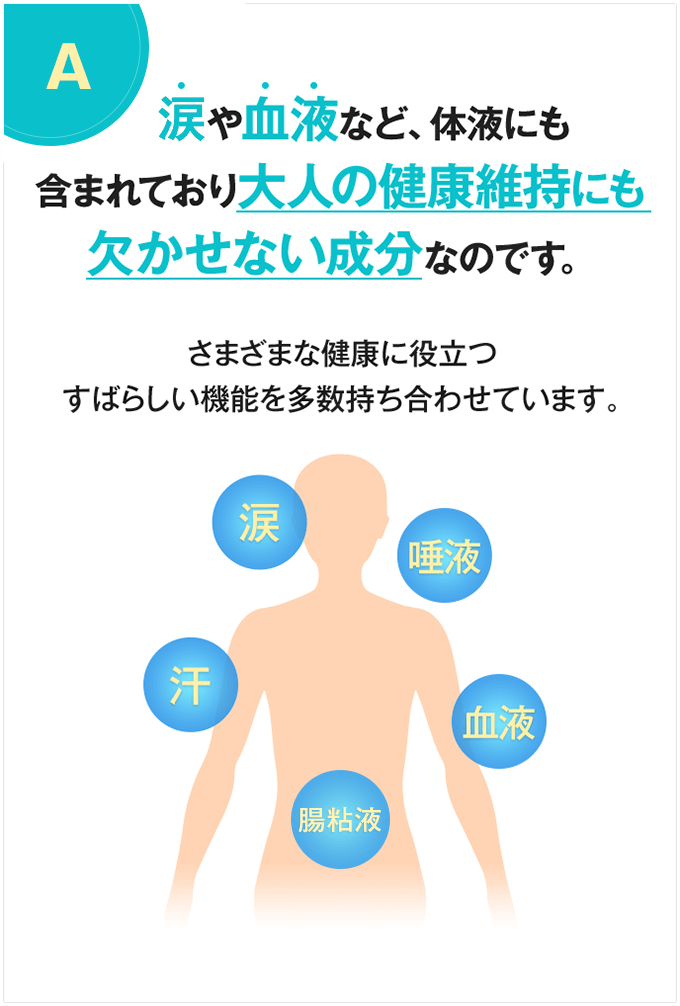 大人の健康維持にも欠かせない成分イメージ図