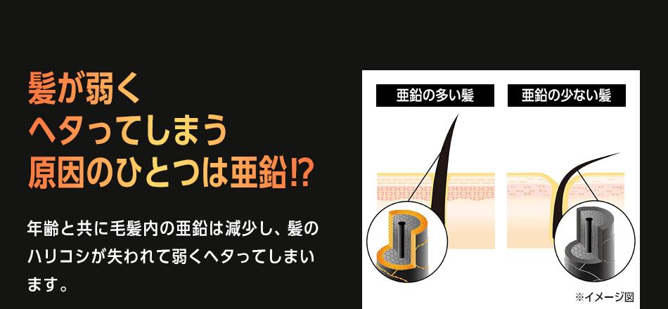 髪が弱くヘタってしまう原因のひとつは亜鉛！？