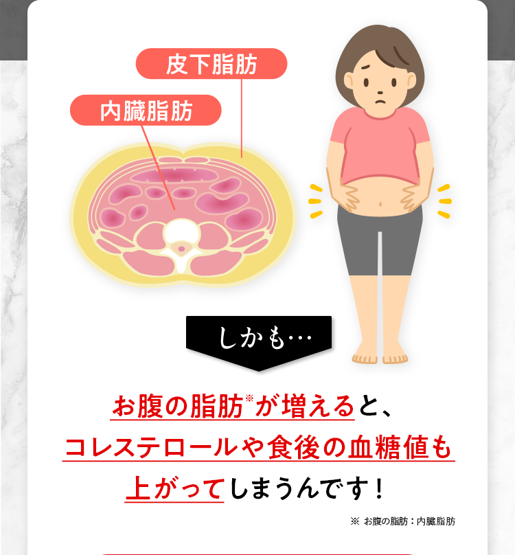 しかも お腹の脂肪※ が増えると、 コレステロールや食後の血糖値も 上がってしまうんです！ ※ お腹の脂肪：内臓脂肪