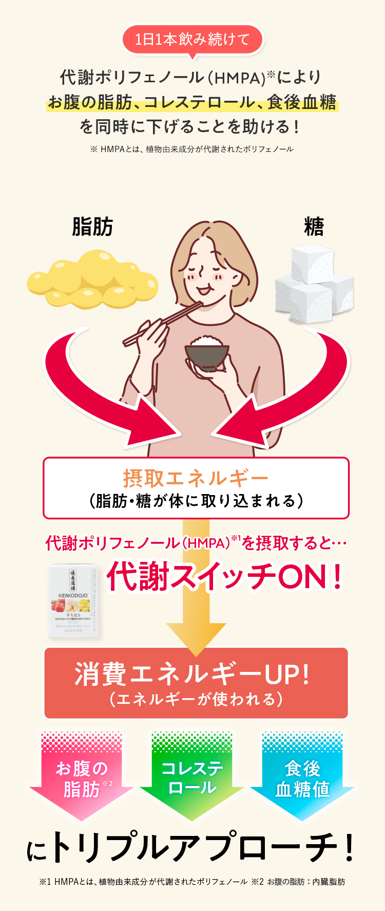 1日1本飲み続けて、代謝ポリフェノール(HMPA)※によりお腹の脂肪、コレステロール、食後血糖値を同時に下げることを助ける！ ※ HMPAとは、植物由来成分が代謝されたポリフェノール