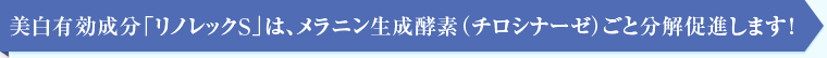 美白有効成分「リノレックＳ」は、メラニン生成酵素（チロシナーゼ）ごと分解促進します！