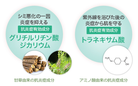 シミ悪化の一因炎症を抑える[抗炎症有効成分] グリチルリチン酸ジカリウム 甘草由来の抗炎症成分 紫外線を浴びた後の炎症から肌を守る[抗炎症有効成分] トラネキサム酸 アミノ酸由来の抗炎症成分