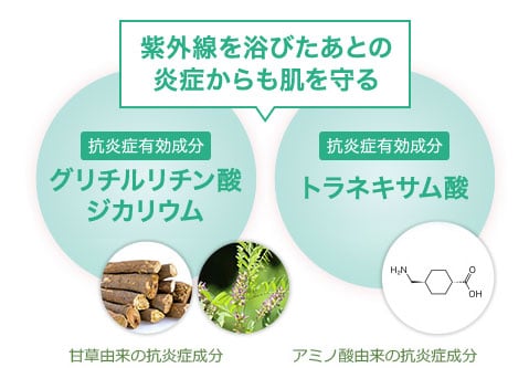 シミ悪化の一因炎症を抑える[抗炎症有効成分] グリチルリチン酸ジカリウム 甘草由来の抗炎症成分 紫外線を浴びた後の炎症から肌を守る[抗炎症有効成分] トラネキサム酸 アミノ酸由来の抗炎症成分