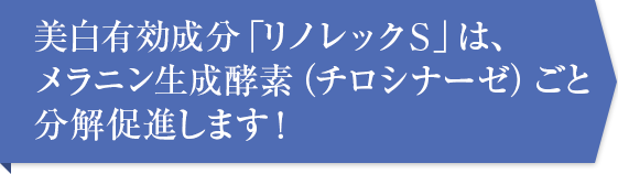 美白有効成分「リノレックＳ」は、メラニン生成酵素（チロシナーゼ）ごと分解促進します！