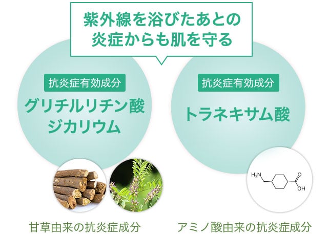 グリチルリチン酸ジカリウム 甘草由来の抗炎症成分・トラネキサム酸 アミノ酸由来の抗炎症成分