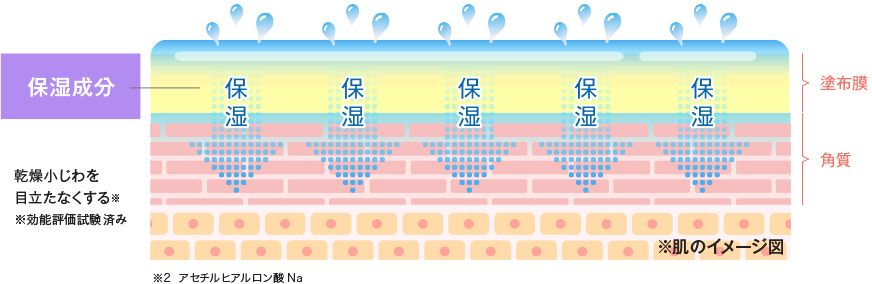 乾燥小じわを目立たなくする※ ※効能評価試験済