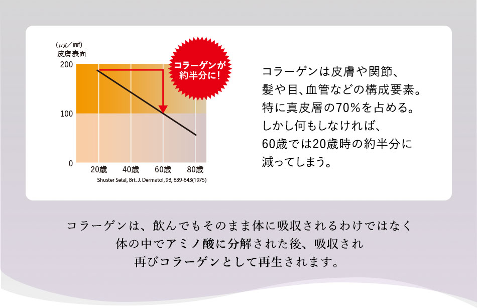 コラーゲンは、飲んでもそのまま体に吸収されるわけではなく体の中でアミノ酸に分解された後、吸収され再びコラーゲンとして再生されます。