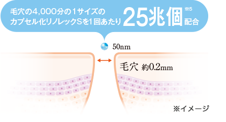 毛穴の4,000分の1サイズの カプセル化リノレックSを1回あたり25兆個※5配合
