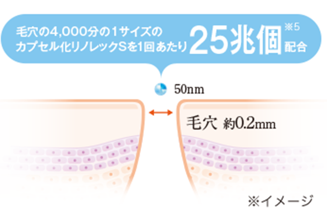 毛穴の4,000分の1サイズの カプセル化リノレックSを1回あたり25兆個※5配合