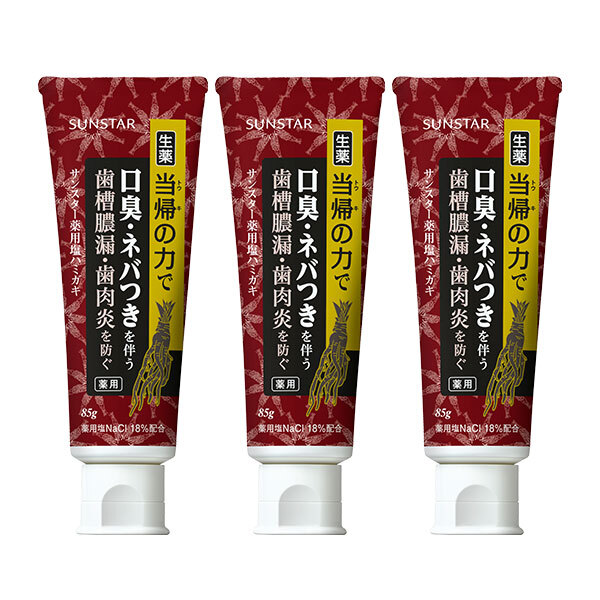 サンスター 生薬 薬用塩ハミガキ