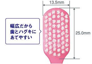 幅広だから歯とハグキにあてやすい
