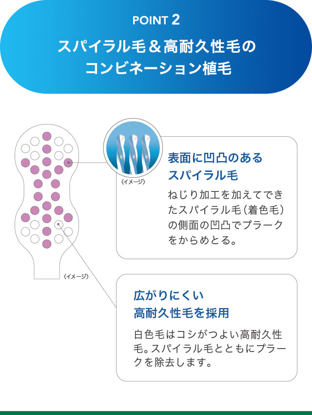 スパイラル毛＆高耐久性毛のコンビネーション植毛