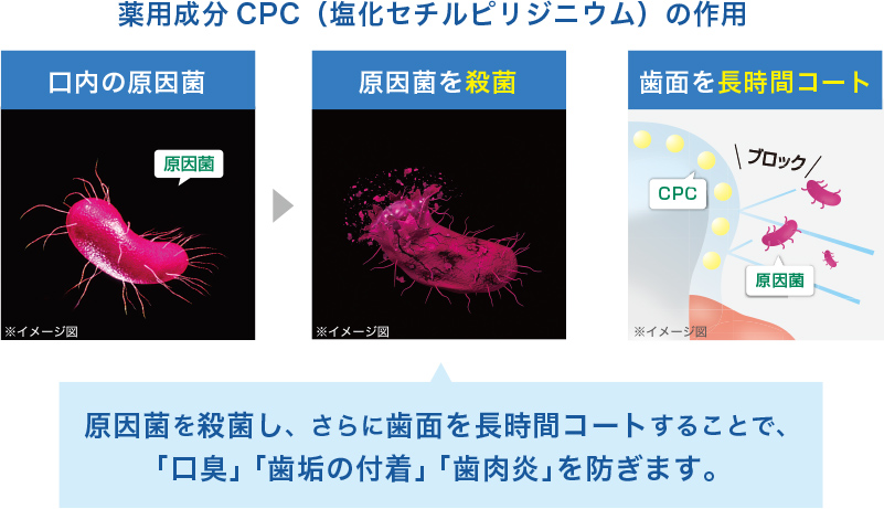 薬用成分CPCの作用